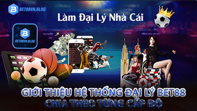 Giới thiệu hệ thống đại lý bet88 chia theo từng cấp độ 